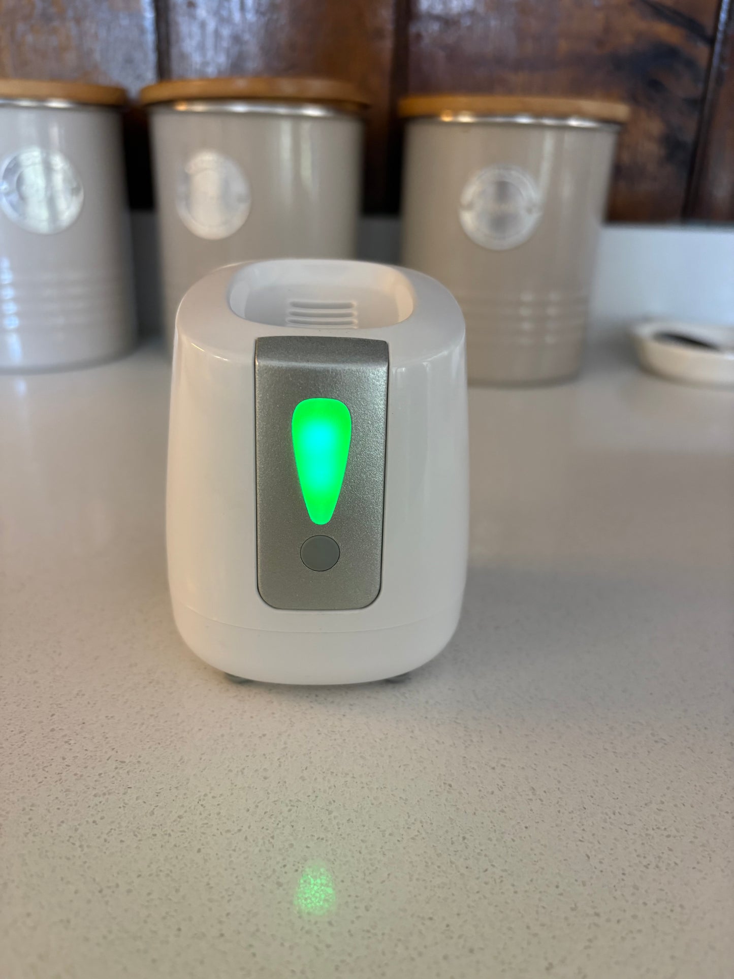 Natures Air Fridge Purifier